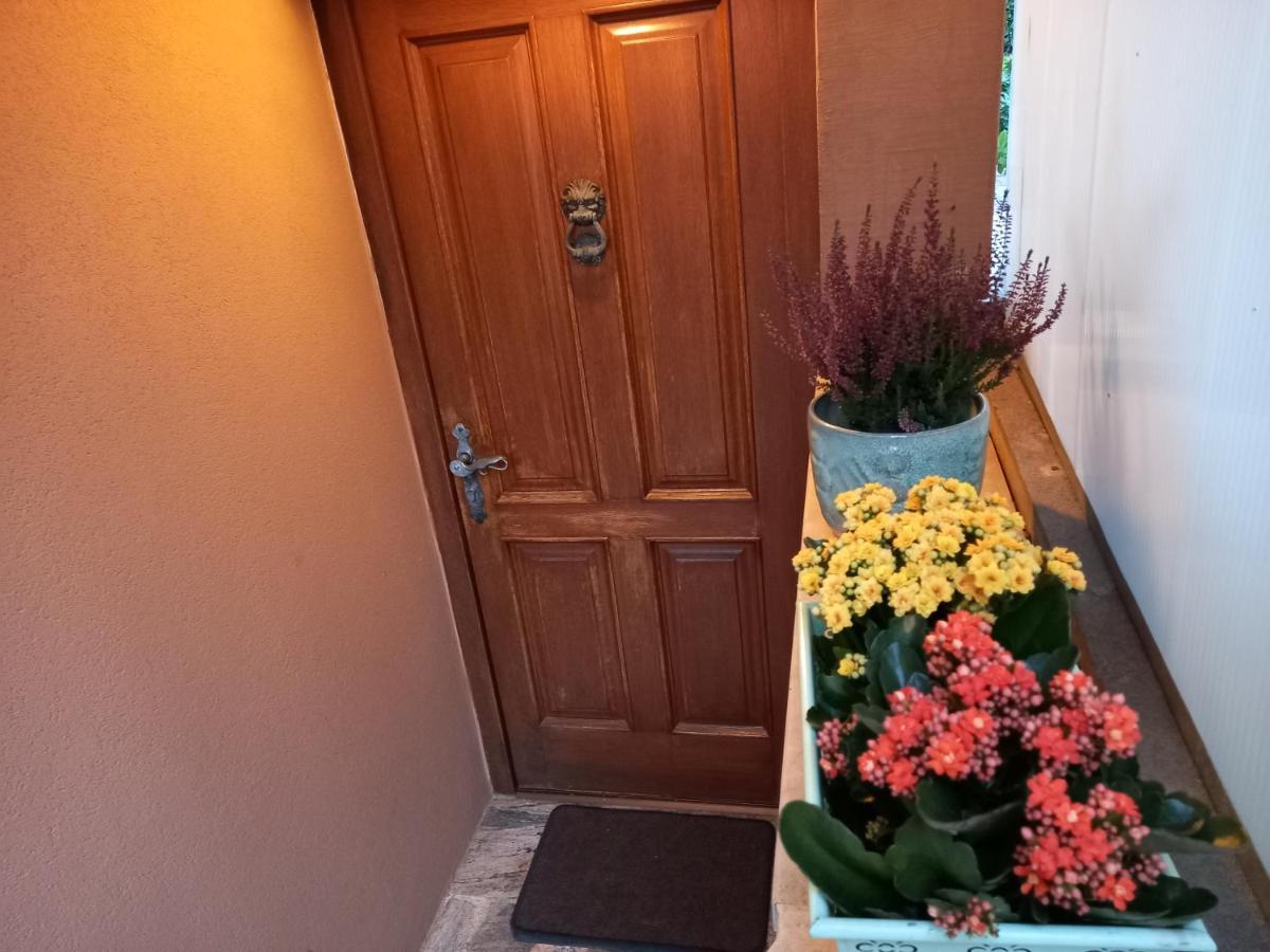 Apartamento Blue Deer Umag Exterior foto